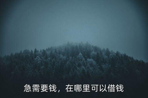 急需要錢(qián)，在哪里可以借錢(qián)