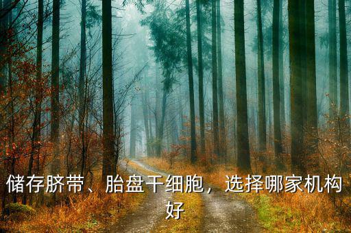 儲(chǔ)存臍帶、胎盤(pán)干細(xì)胞，選擇哪家機(jī)構(gòu)好