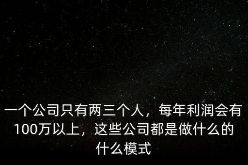 一個(gè)公司只有兩三個(gè)人，每年利潤(rùn)會(huì)有100萬(wàn)以上，這些公司都是做什么的什么模式