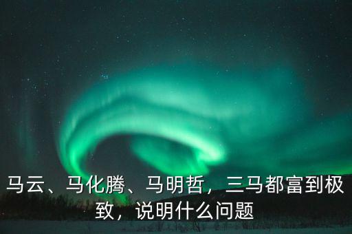 馬云、馬化騰、馬明哲，三馬都富到極致，說明什么問題