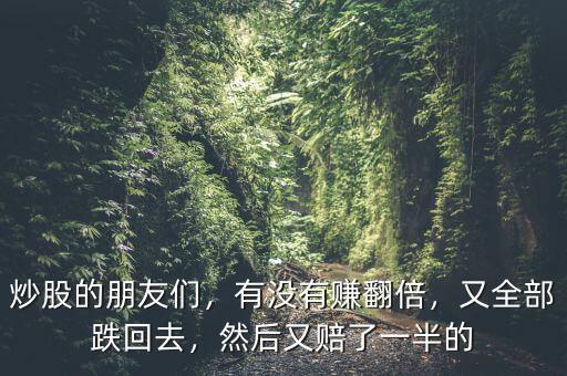 炒股的朋友們，有沒有賺翻倍，又全部跌回去，然后又賠了一半的