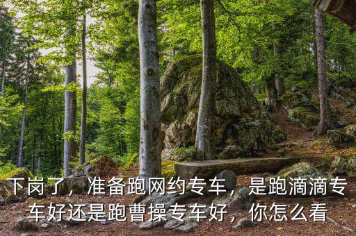 下崗了，準(zhǔn)備跑網(wǎng)約專車(chē)，是跑滴滴專車(chē)好還是跑曹操專車(chē)好，你怎么看
