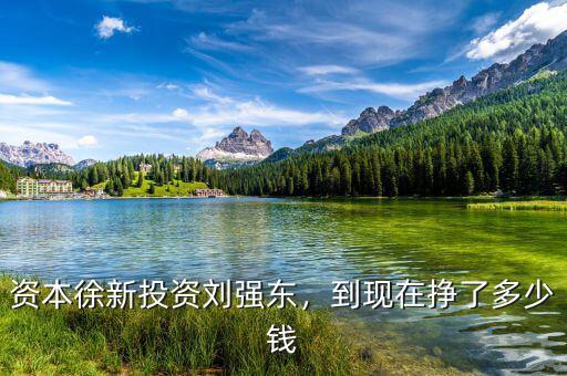 資本徐新投資劉強(qiáng)東，到現(xiàn)在掙了多少錢