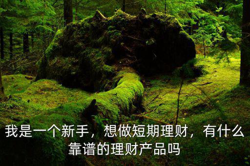 我是一個新手，想做短期理財，有什么靠譜的理財產(chǎn)品嗎