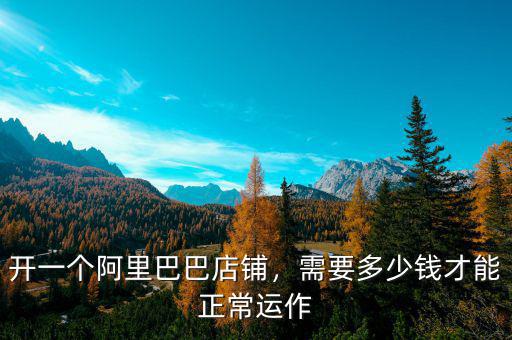 開一個(gè)阿里巴巴店鋪，需要多少錢才能正常運(yùn)作