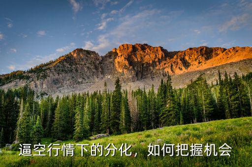 逼空行情下的分化，如何把握機(jī)會(huì)