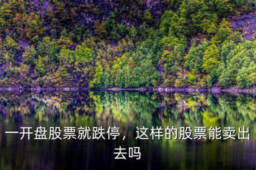 一開盤股票就跌停，這樣的股票能賣出去嗎