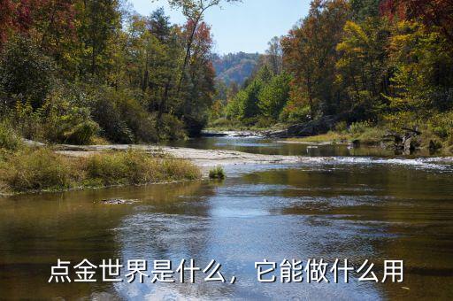 點金世界是什么，它能做什么用