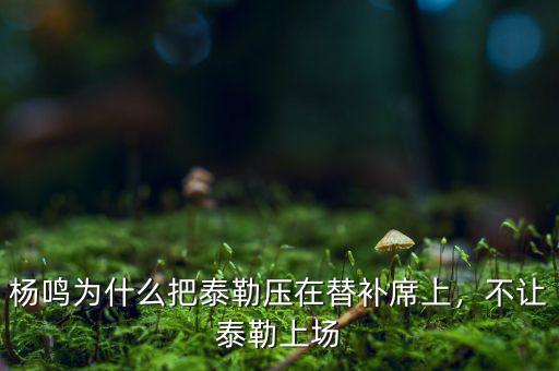 中國(guó)泰勒為什么沒來,為什么沒有來中國(guó)開