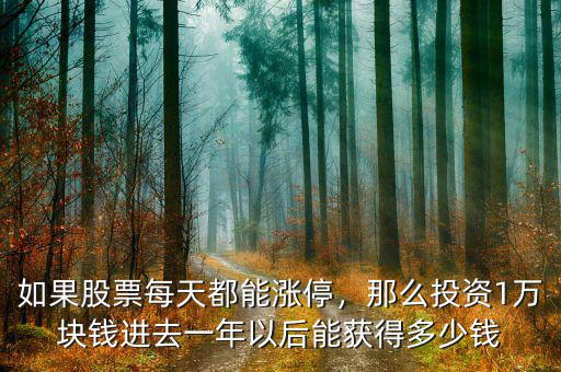 如果股票每天都能漲停，那么投資1萬塊錢進去一年以后能獲得多少錢