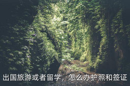 出國旅游或者留學，怎么辦護照和簽證