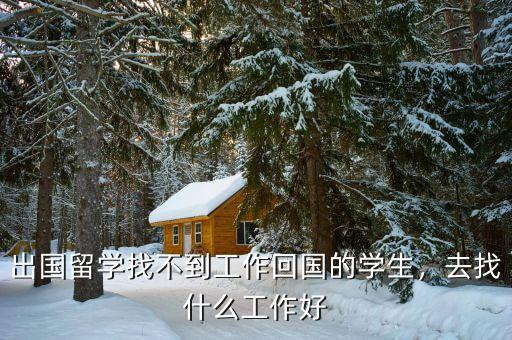 出國留學(xué)找不到工作回國的學(xué)生，去找什么工作好