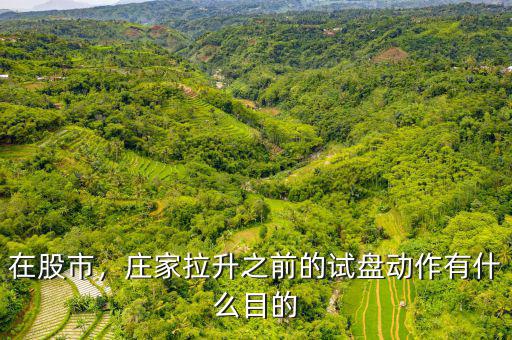 在股市，莊家拉升之前的試盤動(dòng)作有什么目的