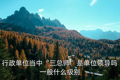 盛來運(yùn)是什么級別,一般什么級別