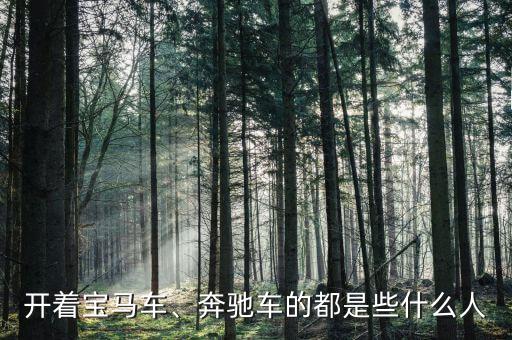 開著寶馬車、奔馳車的都是些什么人