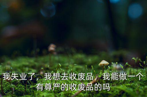 我失業(yè)了，我想去收廢品，我能做一個(gè)有尊嚴(yán)的收廢品的嗎