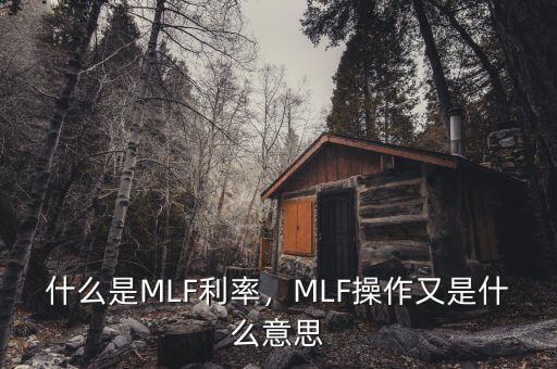 什么是MLF利率，MLF操作又是什么意思