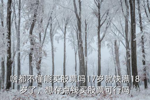 啥都不懂能買股票嗎17歲就快滿18歲了，想存點錢買股票可行嗎
