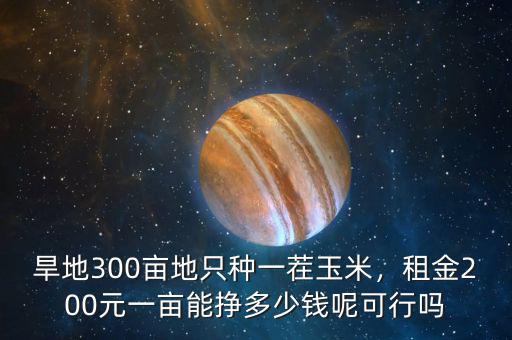 旱地300畝地只種一茬玉米，租金200元一畝能掙多少錢呢可行嗎