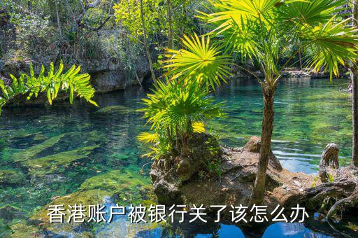 香港凍結(jié)賬戶怎么辦,香港賬戶被銀行關了該怎么辦
