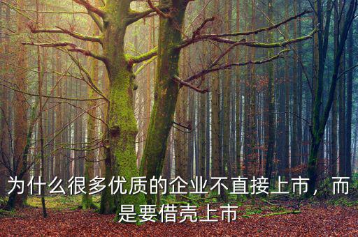 為什么很多優(yōu)質(zhì)的企業(yè)不直接上市，而是要借殼上市