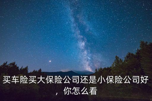 買車險買大保險公司還是小保險公司好，你怎么看