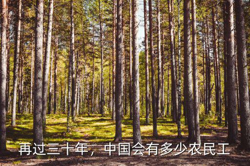 再過三十年，中國會有多少農(nóng)民工