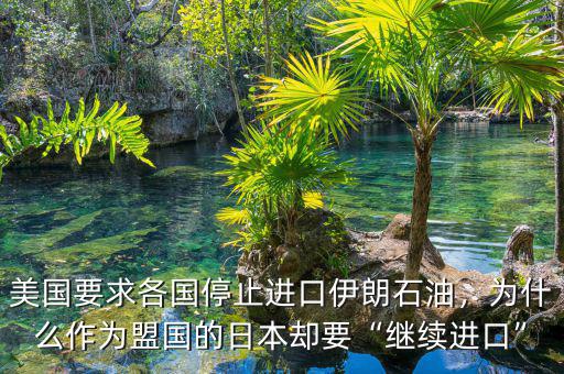 美國要求各國停止進口伊朗石油，為什么作為盟國的日本卻要“繼續(xù)進口”