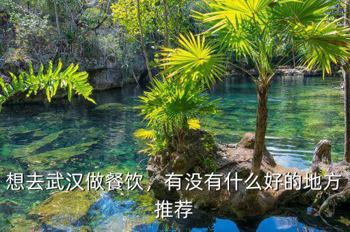 想去武漢做餐飲，有沒有什么好的地方推薦