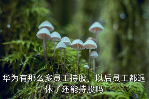 華為有那么多員工持股，以后員工都退休了還能持股嗎