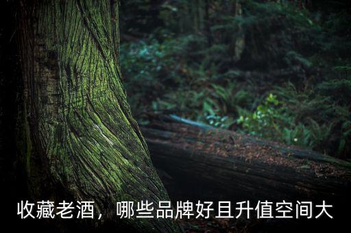 收藏老酒，哪些品牌好且升值空間大