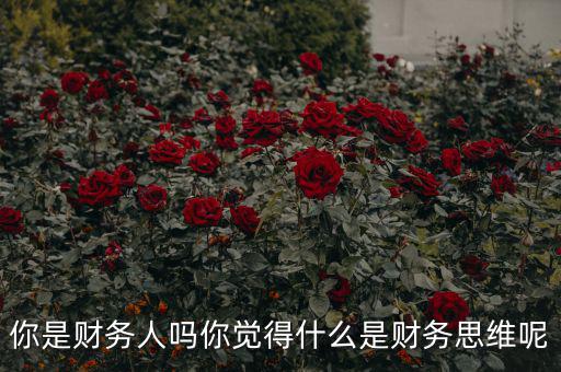 什么是會計(jì)思維,什么是財務(wù)思維