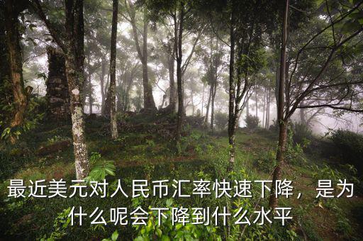 最近美元對(duì)人民幣匯率快速下降，是為什么呢會(huì)下降到什么水平