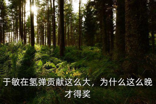 于敏在氫彈貢獻(xiàn)這么大，為什么這么晚才得獎(jiǎng)