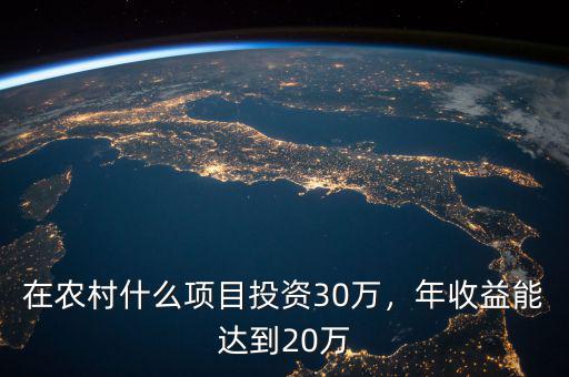 在農(nóng)村什么項目投資30萬，年收益能達到20萬