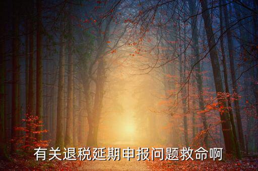 辦理退稅延期需要什么材料，公司出口報關(guān)單馬上就過三個月了到稅務(wù)如何辦理退稅延長期具