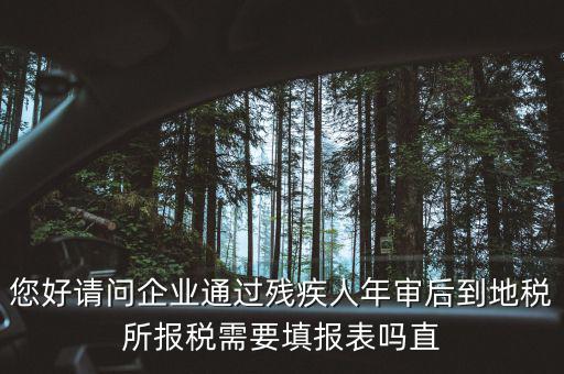 您好請(qǐng)問企業(yè)通過(guò)殘疾人年審后到地稅所報(bào)稅需要填報(bào)表嗎直