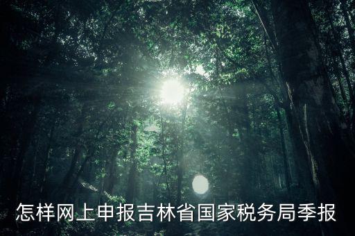 吉林省用什么報(bào)稅系統(tǒng)，吉林省的報(bào)稅系統(tǒng)如何使用