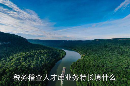 地稅局的人才庫是什么，地稅局的人具體做什么