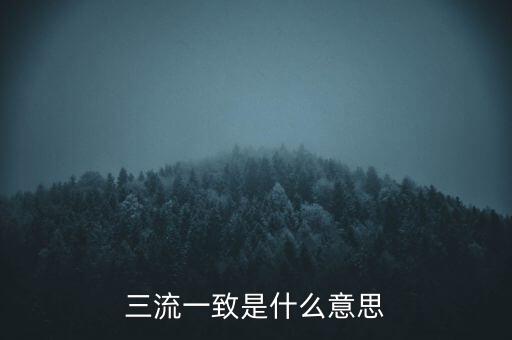 發(fā)票 流向一致是什么意思，發(fā)票四流一致是哪四流