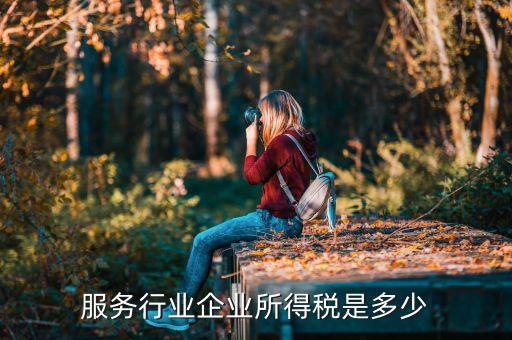 什么是接受服務(wù)企業(yè)所得稅，服務(wù)行業(yè)企業(yè)所得稅是多少