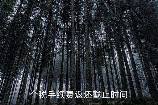個(gè)稅手續(xù)費(fèi)返還什么時(shí)候還，個(gè)稅手續(xù)費(fèi)返還時(shí)間
