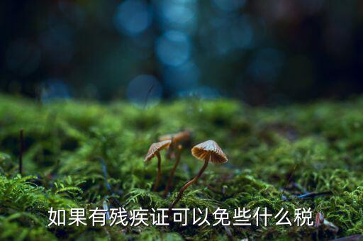 殘疾人免征什么稅，如果有殘疾證可以免些什么稅