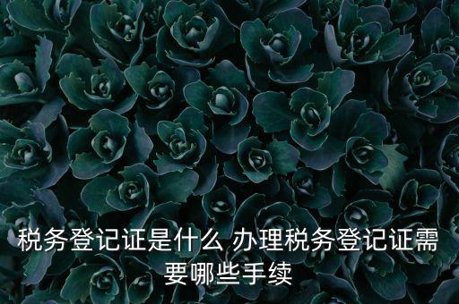 地稅局登記是什么，地稅辦理稅務登記需要哪些資料