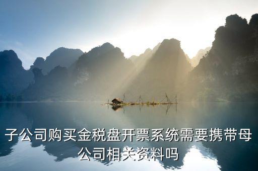 購(gòu)買稅控盤需要帶什么資料，增值稅小規(guī)模納稅人購(gòu)買稅控盤在附列資料中需要填寫嗎