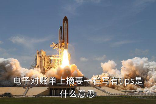 國(guó)稅tips系統(tǒng)指什么，電子對(duì)賬單上摘要一欄寫(xiě)有tips是什么意思