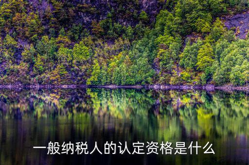 一般納稅人資格證書是什么，一般納稅人的認(rèn)定資格是什么