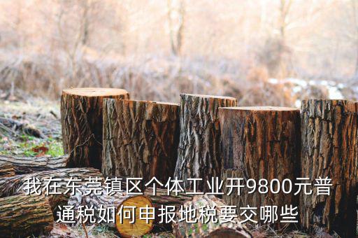 四稅一費(fèi)是什么，我在東莞鎮(zhèn)區(qū)個(gè)體工業(yè)開(kāi)9800元普通稅如何申報(bào)地稅要交哪些
