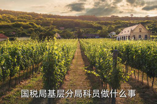 國稅局文秘干什么，公務員國稅局基層局科員和辦公室文秘哪個好