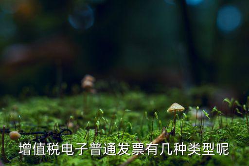 普通發(fā)票有什么種類，發(fā)票分幾種
